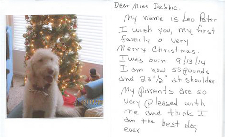 Letter For Debbie