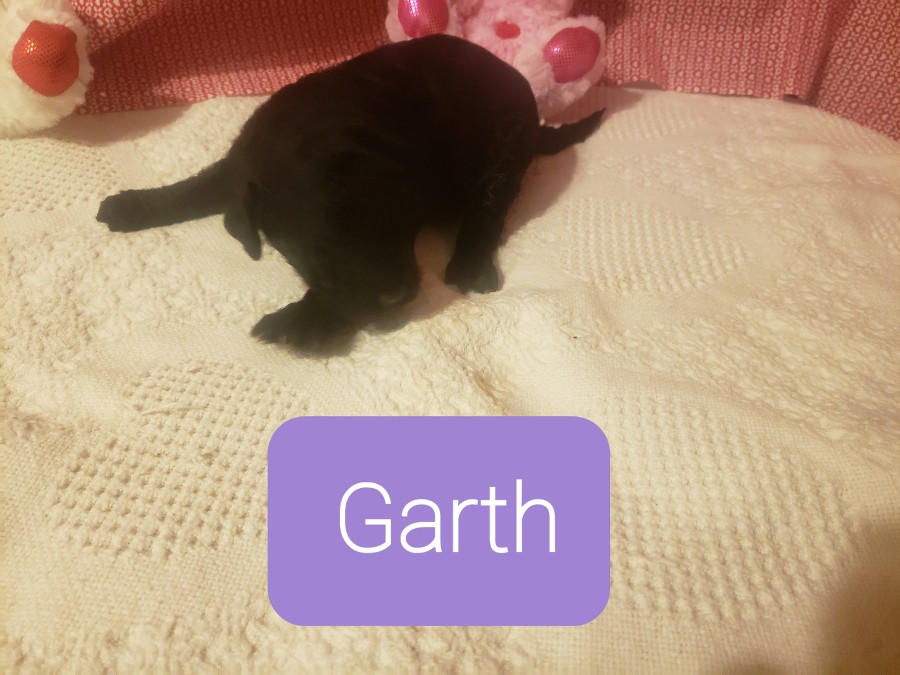 Garth